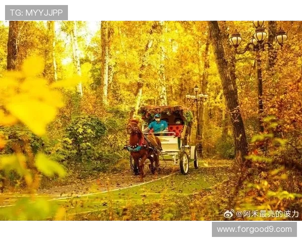 秋日阿勒泰，那束橙色的暖光